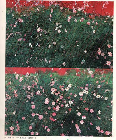 齋藤研展