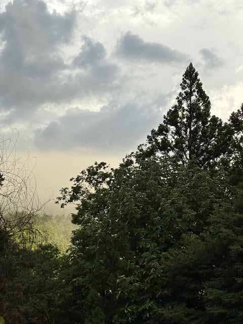 雨上がる